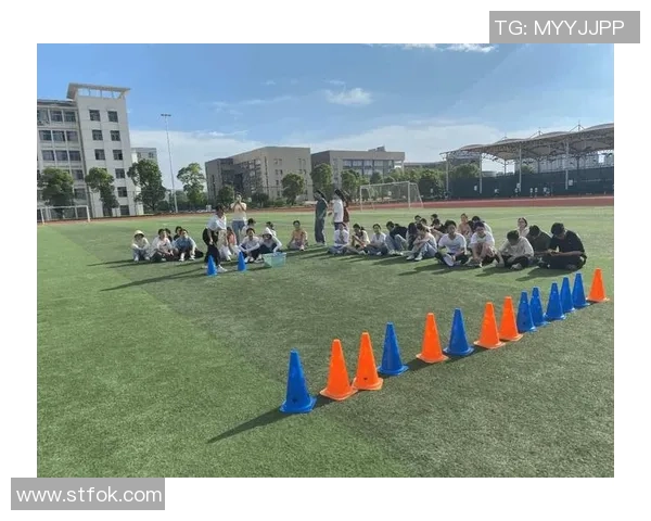 科学飞盘：个人能力训练方法